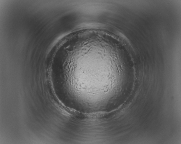 X0000053061019200507111146