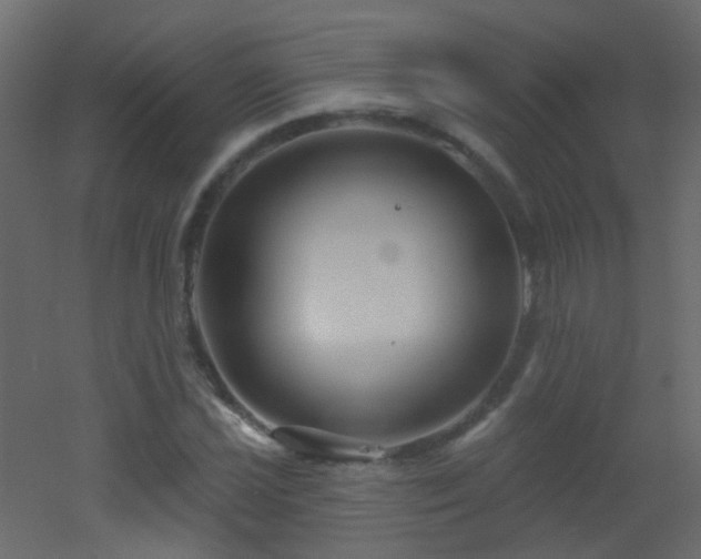 X0000053061021200507111146