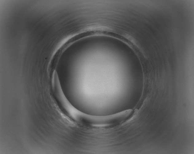 X0000053061022200507111146