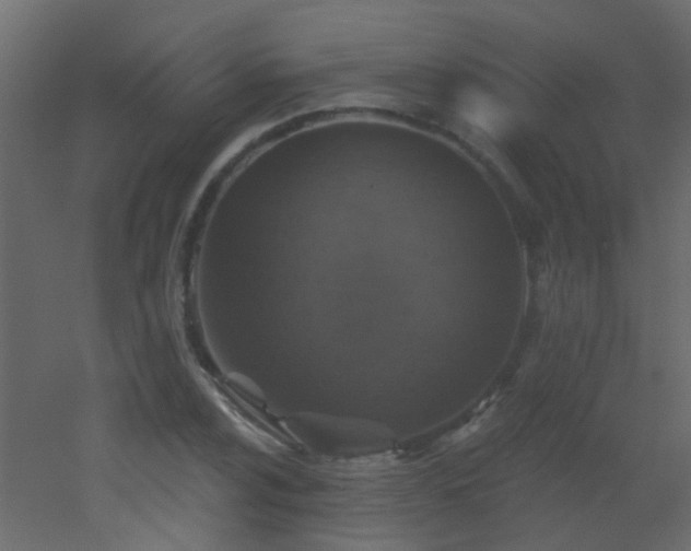 X0000053061024200507111146