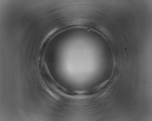 X0000053061026200507111146