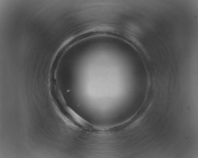 X0000053061029200507111147
