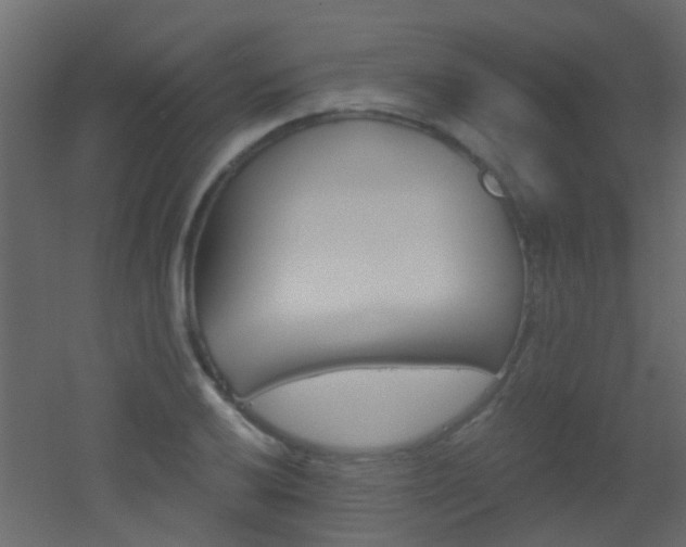 X0000053061032200507111147