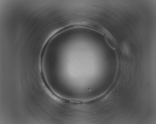 X0000053061036200507111147