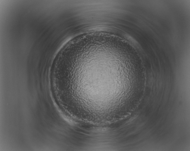 X0000053061039200507111147
