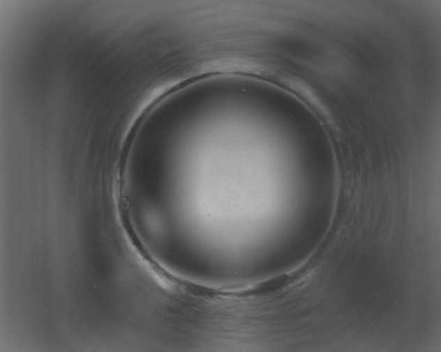 X0000053061040200507111147