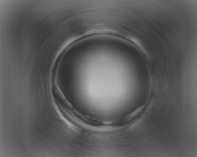 X0000053061046200507111147