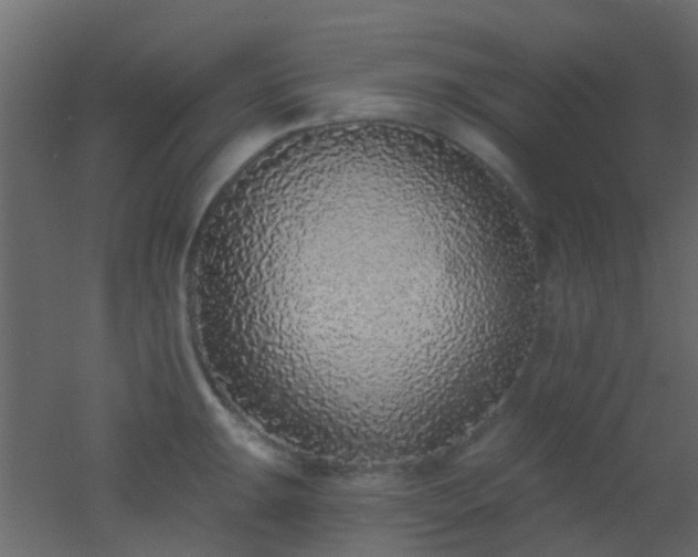 X0000053061047200507111147