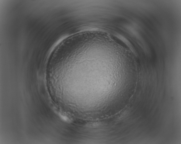 X0000053061051200507111147