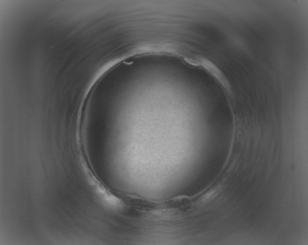 X0000053061052200507111147