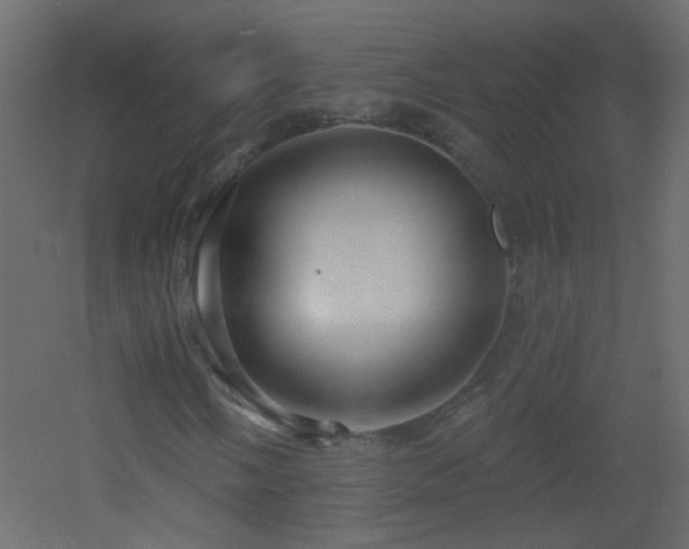X0000053061058200507111146