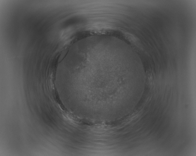 X0000053061060200507111146