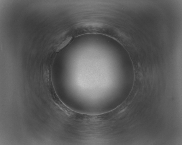X0000053061061200507111146