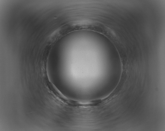 X0000053061062200507111146