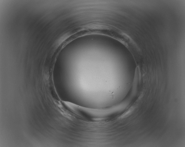 X0000053061065200507111146