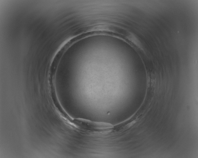 X0000053061068200507111146