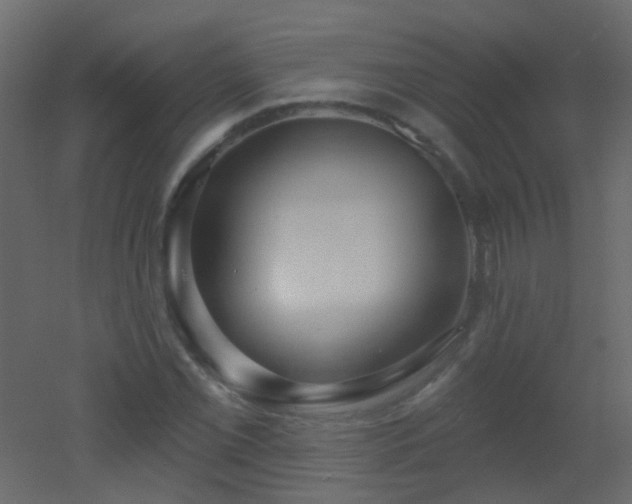 X0000053061069200507111146