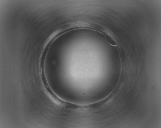 X0000053061082200507111146