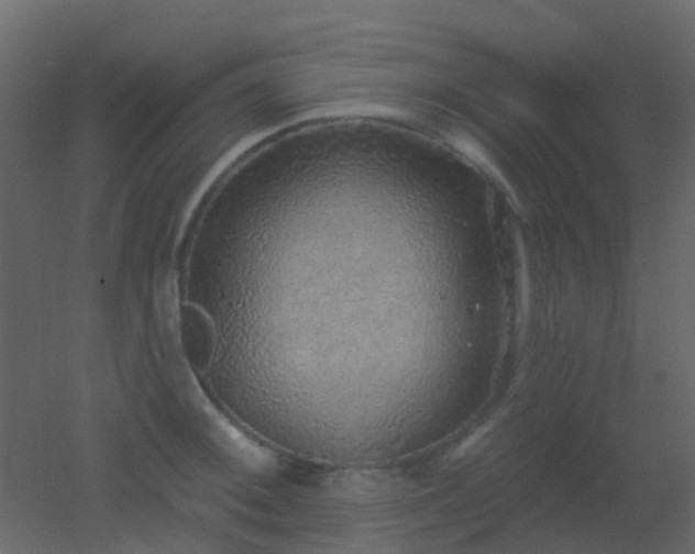X0000053061092200507111146
