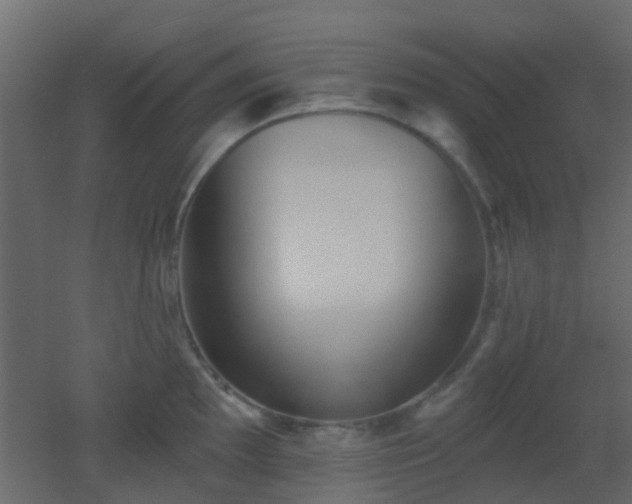 X0000053061097200507111145