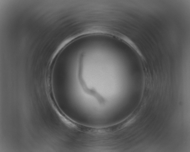 X0000053061101200507111145