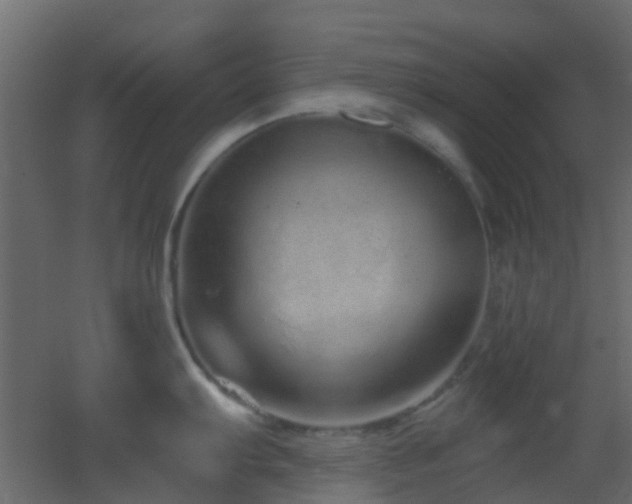 X0000053061103200507111145