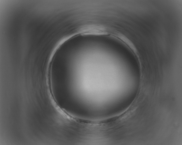 X0000053061104200507111145