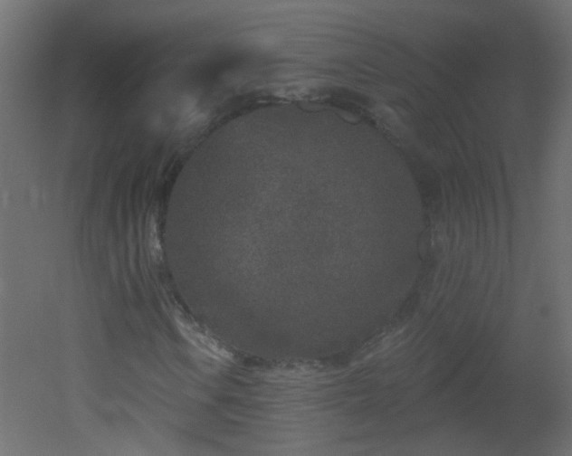 X0000053061106200507111145