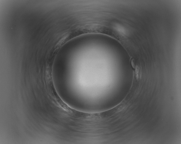X0000053061107200507111145