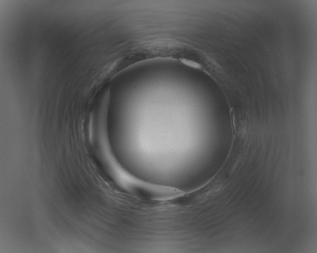 X0000053061108200507111145