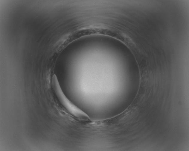 X0000053061110200507111145