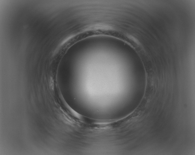 X0000053061112200507111145