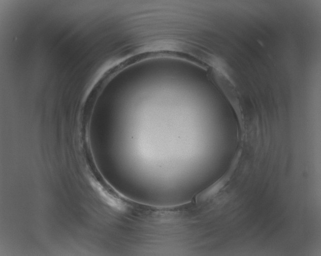 X0000053061116200507111145
