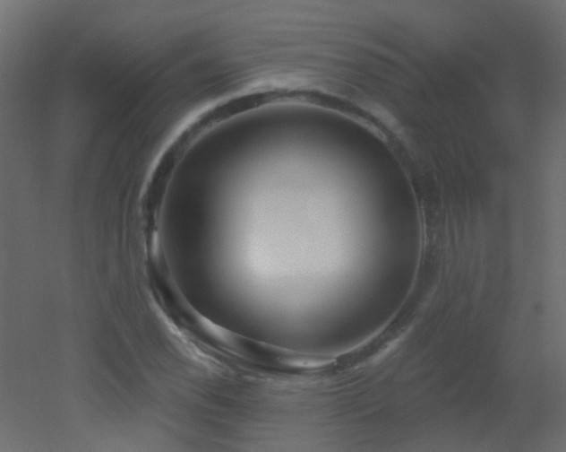 X0000053061118200507111145