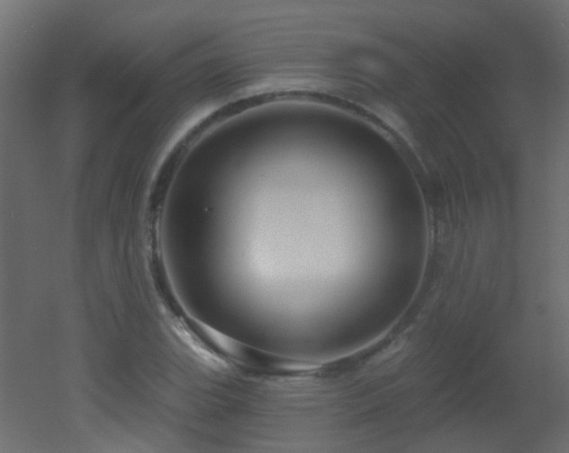X0000053061119200507111145