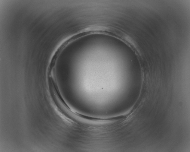 X0000053061124200507111145