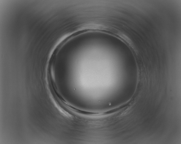 X0000053061128200507111145