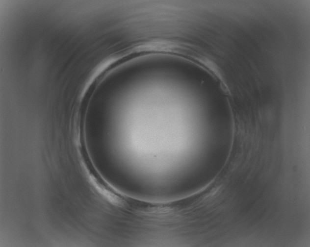 X0000053061131200507111145