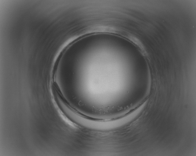 X0000053061136200507111145
