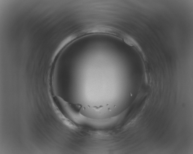 X0000053061138200507111145