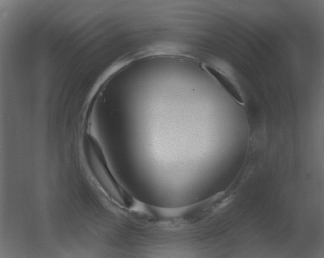 X0000053061146200507111145