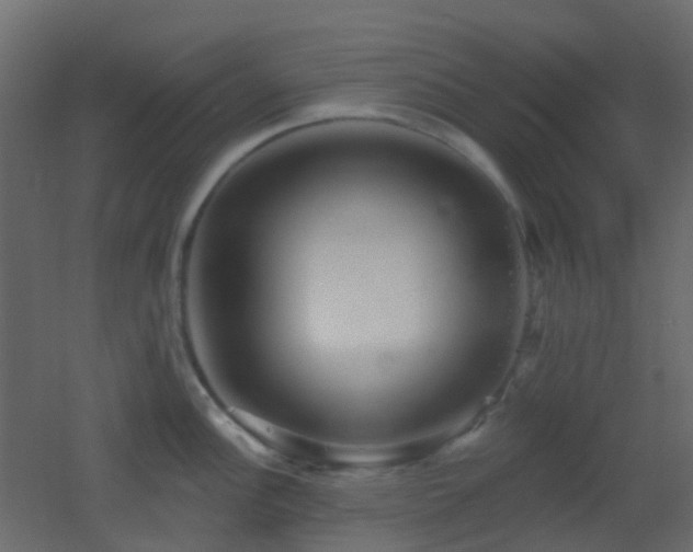 X0000053061148200507111145
