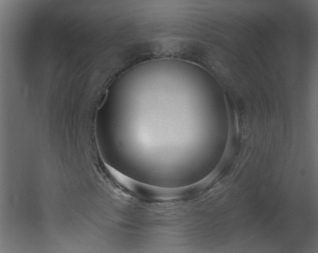 X0000053061153200507111145
