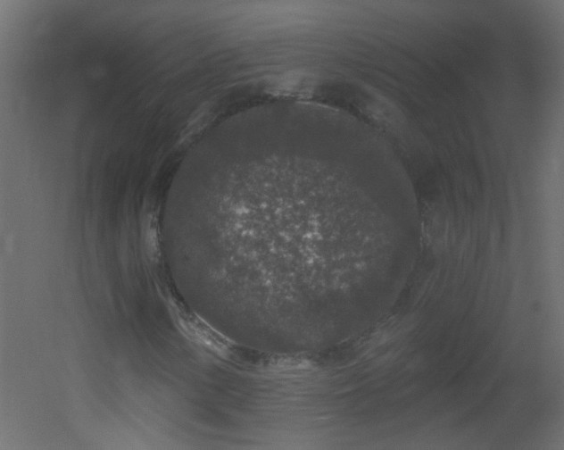 X0000053061154200507111145