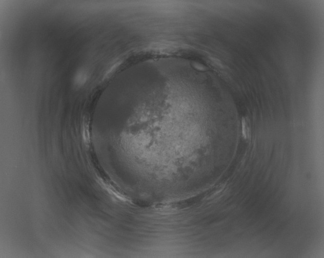 X0000053061155200507111145