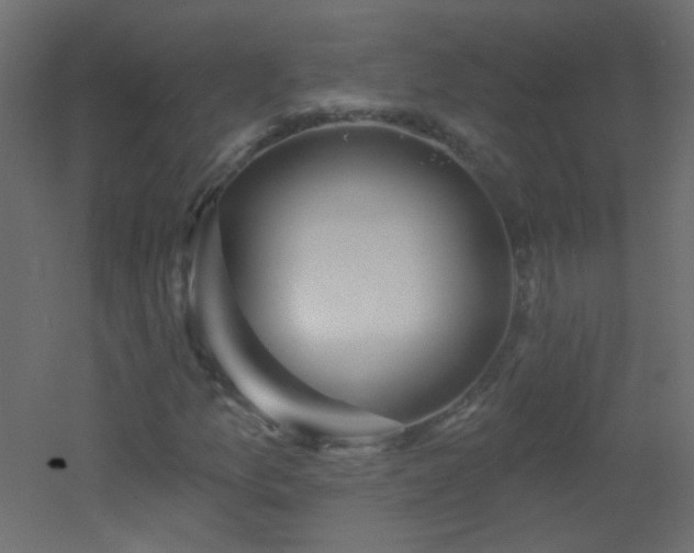 X0000053061157200507111144