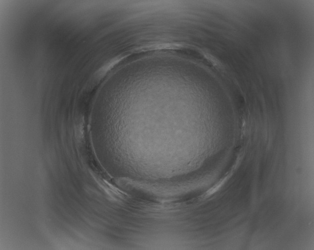 X0000053061161200507111144