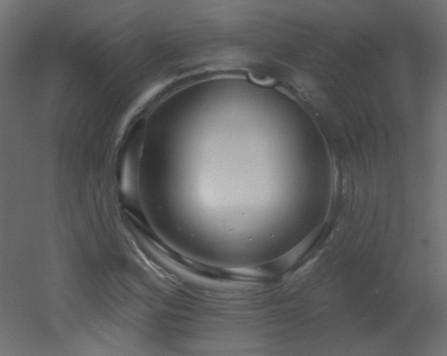 X0000053061164200507111144