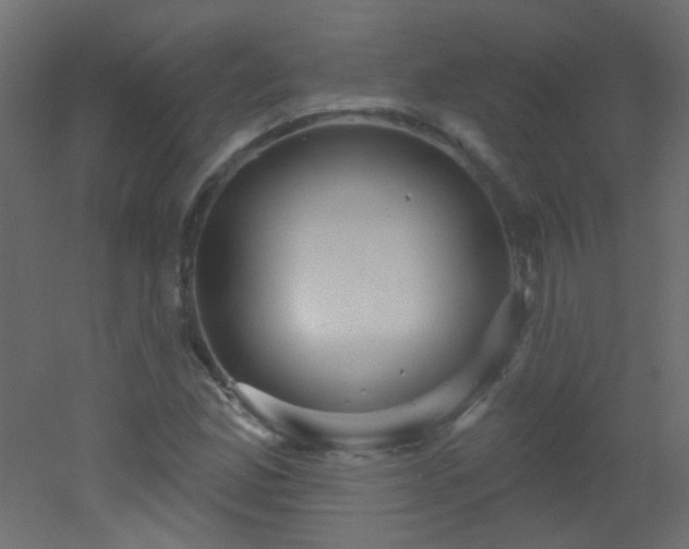 X0000053061165200507111144