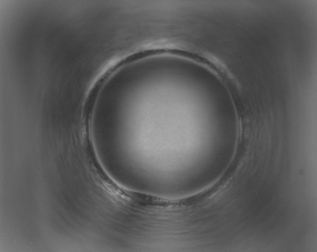 X0000053061167200507111144